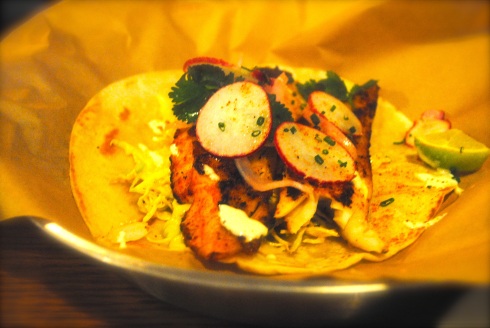 Jumbo fish taco, grilled